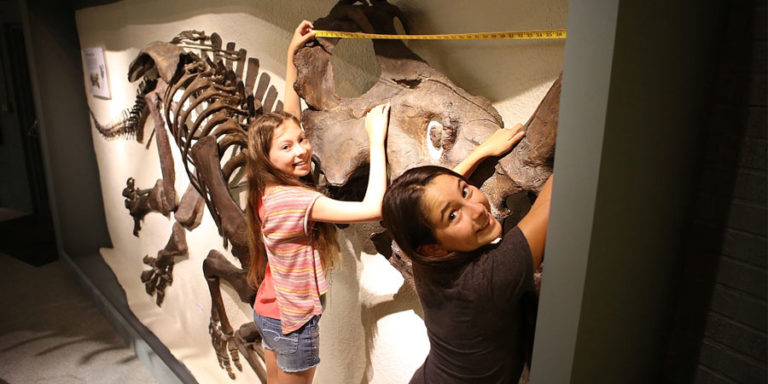 For Your Radar: The National Association of Museum Schools