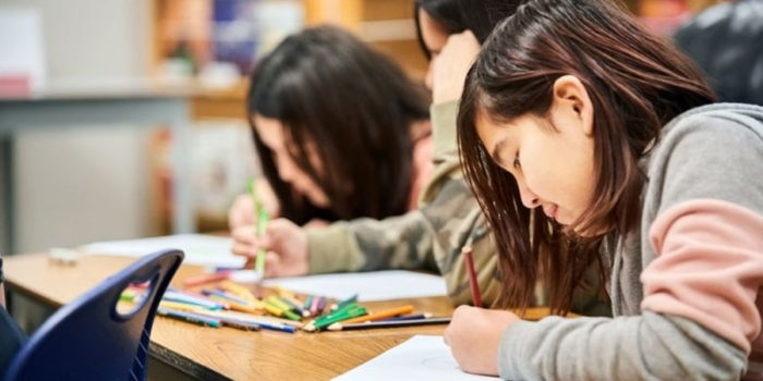 what-is-a-museum-school